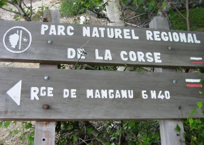 Superbe Villa Au Rez De Chaussee Avec Terrasse De 70 M2 Offrant Une Vue Sur La Mer Et Piscine Privee