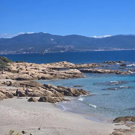 Magnifico Al Piano Terra Climatizzato Di 70 M Terrazza Con *