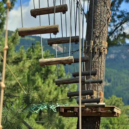 Magnifico Al Piano Terra Climatizzato Di 70 M Terrazza Con Villa *