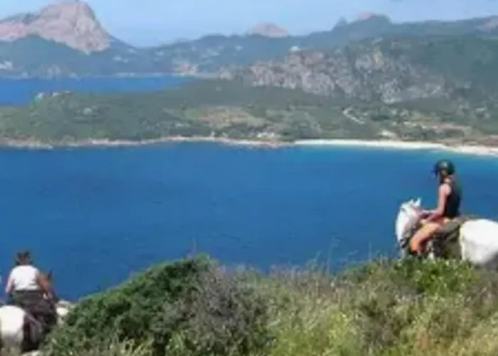 Villa Superbe Villa Au Rez De Chaussee Avec Terrasse De 70 M2 Offrant Une Vue Sur La Mer Et Piscine Privee