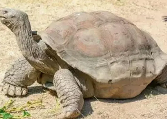 Superbe Villa Au Rez De Chaussee Avec Terrasse De 70 M2 Offrant Une Vue Sur La Mer Et Piscine Privee ヴィラ ポルティシオ