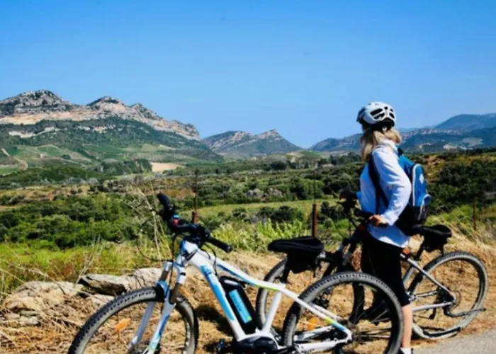 Magnifico Al Piano Terra Climatizzato Di 70 M Terrazza Con Porticcio (Corsica)